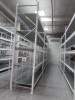 Racks picking Paraguay 2